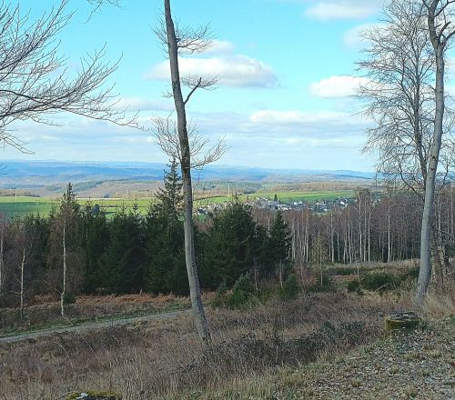 Error fetching alt text: NetworkError when attempting to fetch resource.