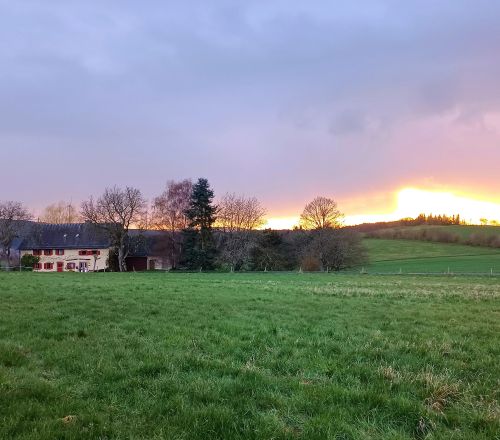 Error fetching alt text: NetworkError when attempting to fetch resource.