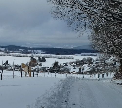 Winterlandschaft mit verschneitem Feld einem Pferd einem Dorf und bewölktem Himmel im Hintergrund