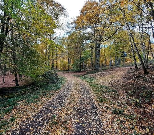 Gemeinde Gornhausen 04