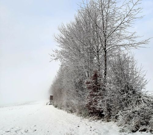 Gemeinde Gornhausen 13