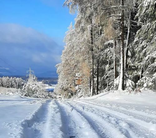 Gemeinde Gornhausen 14