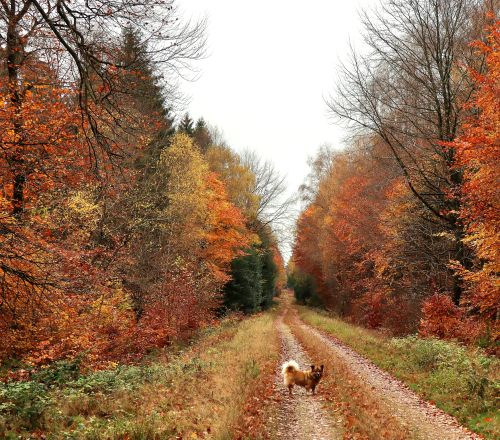 Gemeinde Gornhausen 28