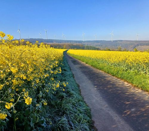 Gemeinde Gornhausen 39