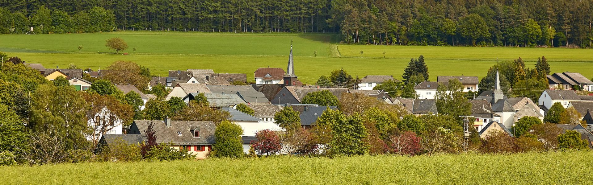 Dorf mit Kirchturm umgeben von Baeumen Feldern und Waeldern unter bewölktem Himmel